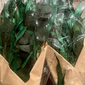 Threshold Preserved Eucalyptus Bundle